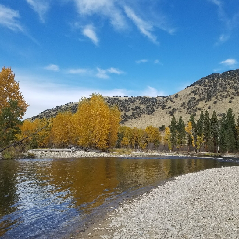 Bitterroot River in the Fall